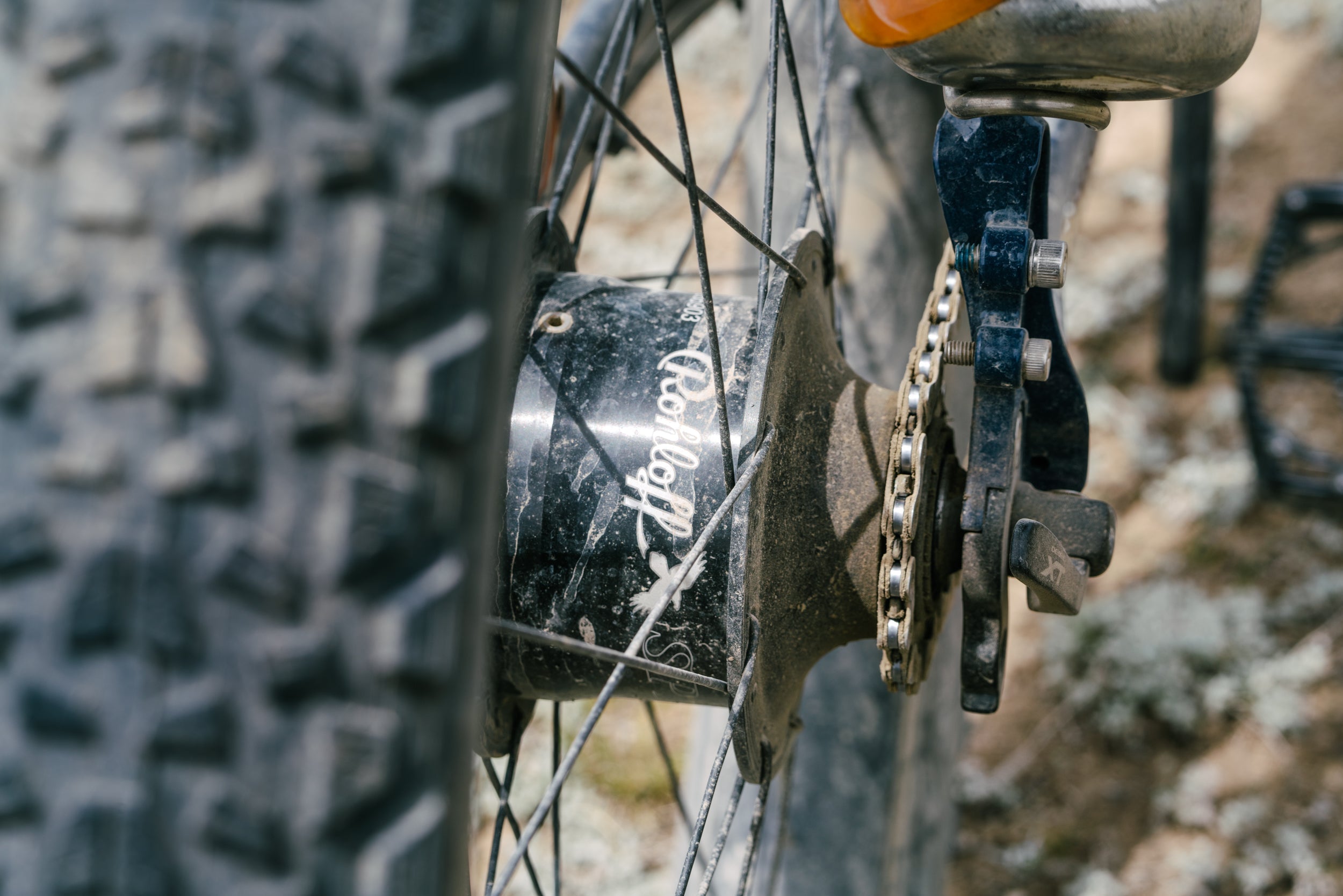 Rohloff vs. Pinion: Why We Chose the Speedhub for the Prospector